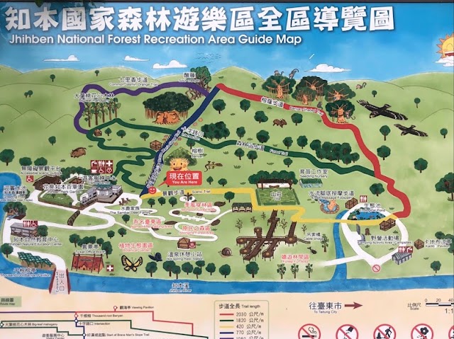 知本國家森林遊樂區